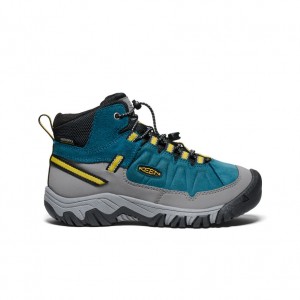 Buty Trekkingowe Big Dziecięce Keen Targhee IV Waterproof Niebieskie | KWD8418NK