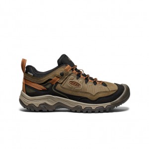 Buty Trekkingowe Męskie Keen Targhee IV Wide Waterproof Oliwkowe Czarne | WTI9056NL